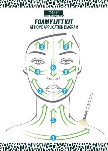Foamy-Lift-Application-Diagram